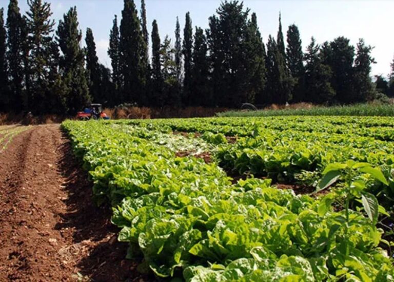 Screenshot 2025-04-12 105702